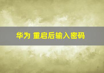 华为 重启后输入密码